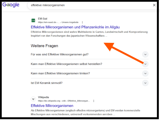 Screenshot einer Googlesuche